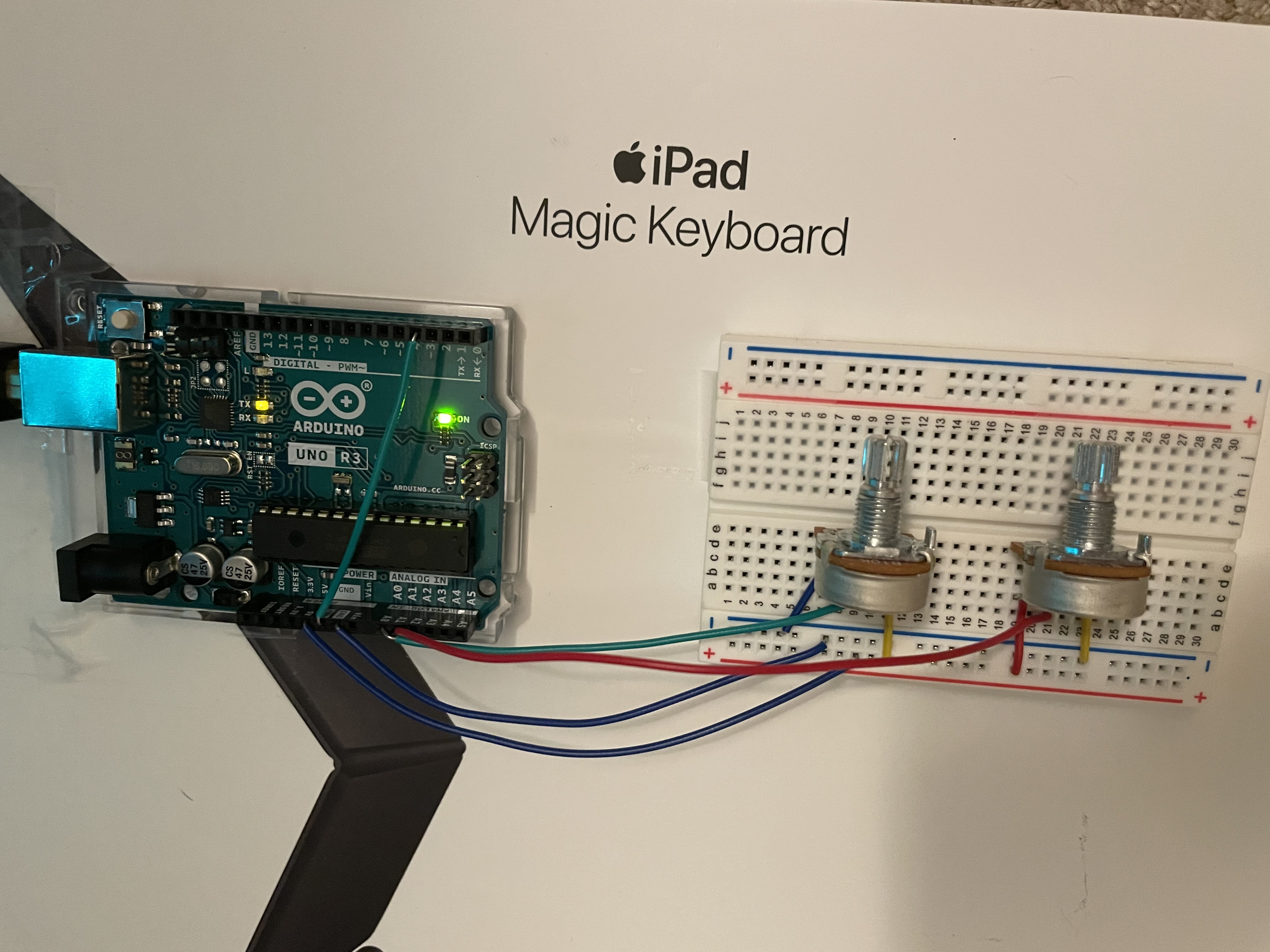 Self-Programmed Mouse